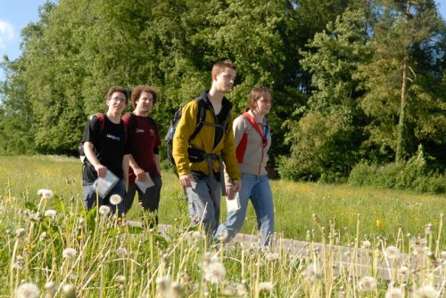siech 2006