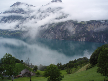 siech 2007